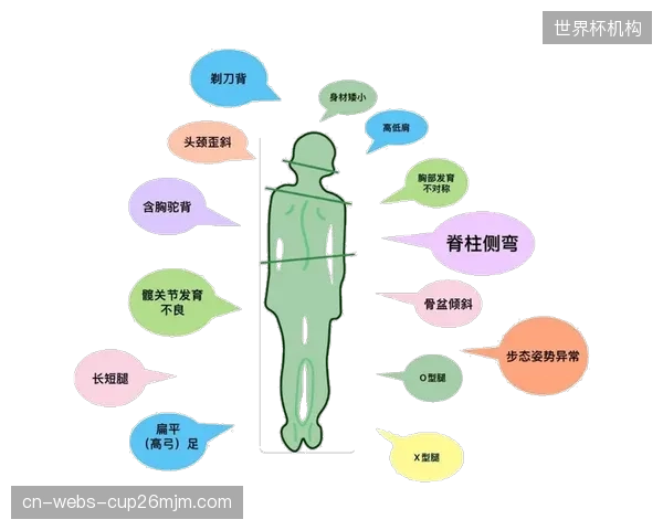 综合性的评估平台将面临挑战，专注于某一特定领域（如青少年脊柱健康、女性产后恢复）的评估服务商将更具竞争力